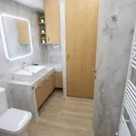 Luxury Apartment